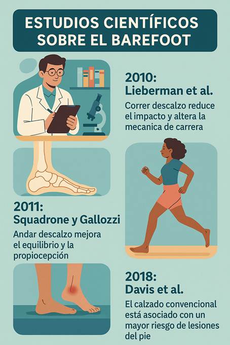 Infografía educativa en español titulada “Estudios científicos sobre el barefoot” que muestra hallazgos de investigaciones: Lieberman 2010 sobre impacto al correr descalzo, Squadrone y Gallozi 2011 sobre equilibrio y propiocepción, y Davis 2018 sobre riesgo de lesiones con calzado convencional.