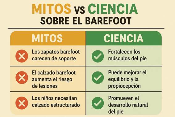 Infografía horizontal en español titulada “Mitos vs Ciencia sobre el barefoot” que desmiente creencias comunes, mostrando que los zapatos barefoot fortalecen músculos, mejoran equilibrio y promueven desarrollo natural del pie.